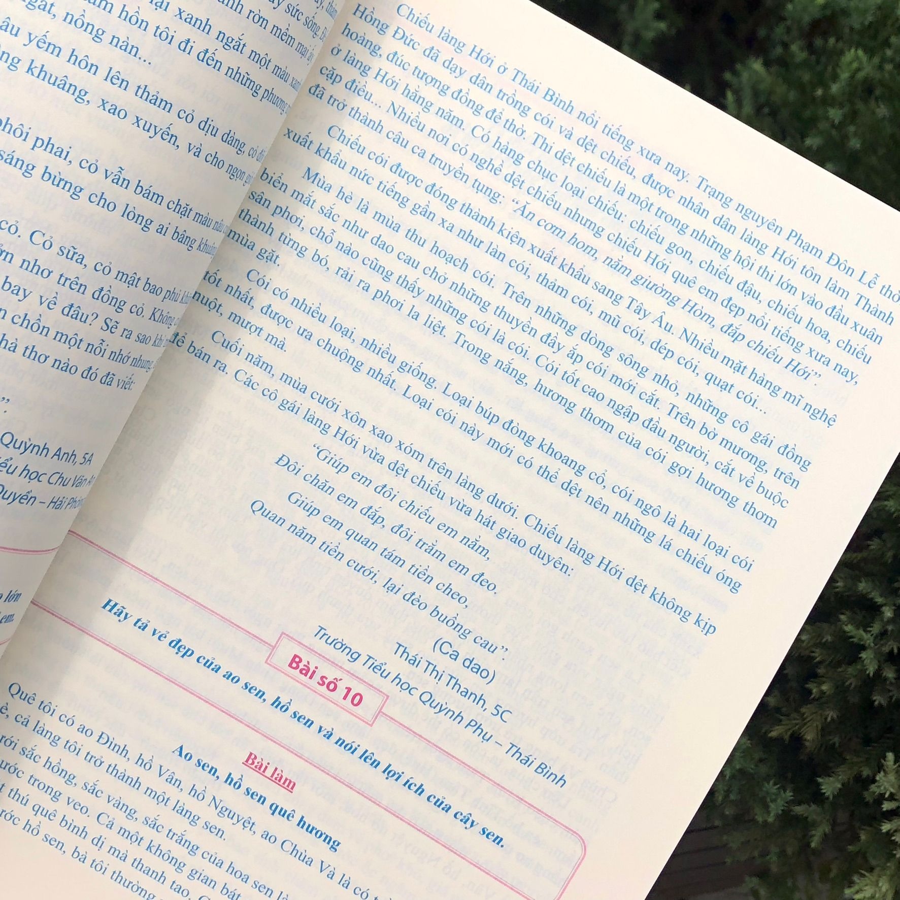 Sách: Combo Tuyển Chọn Những Bài Văn Miêu Tả Lớp 5 + Phiếu Ôn Tập Cuối Tuần Tiếng Việt Lớp 5