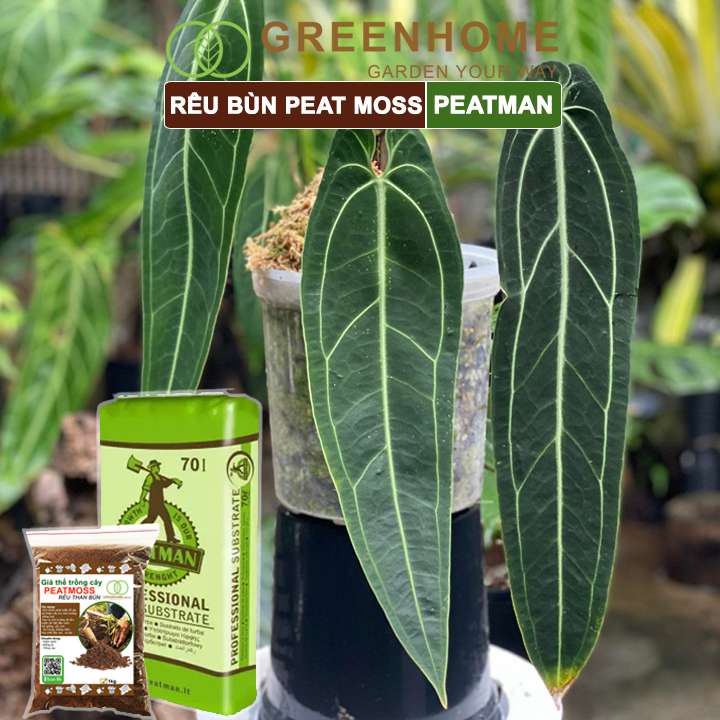 Rêu Than Bùn Peatmoss Greenhome, Bao 1kg, Giá Thể, Cân Bằng Ẩm, Trộn Đất Trồng Sen Đá, Kiểng Lá, Hoa Hồng, Ươm Hạt Giống