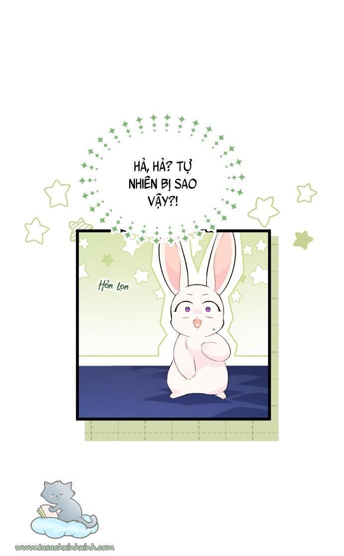 quan hệ cộng sinh giữa báo đen và thỏ trắng chapter 47 13