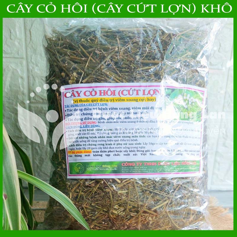 Cây Cỏ Hôi (Cây Cứt Lợn) khô 1kg