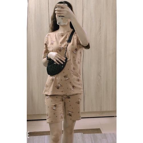 Bộ mặc nhà nữ chất cotton hình gấu kute áo cộc quần đùi ngố