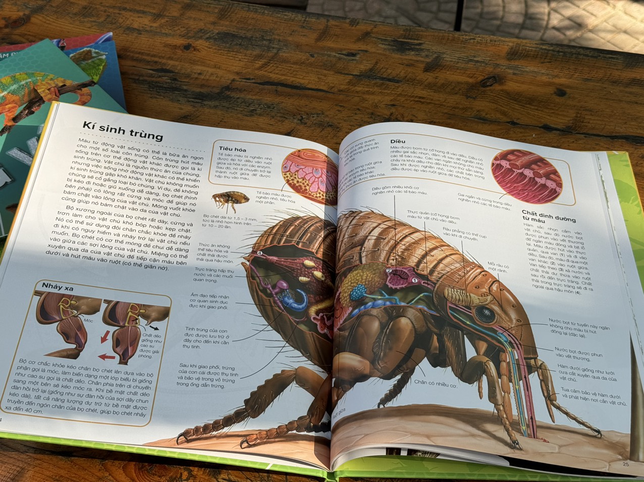 HÀNH TRÌNH KHÁM PHÁ -CÔN TRÙNG _Gerald Legg & Steve Weston- Hồng Nhung dịch- Tân Việt - NXB Mỹ Thuật