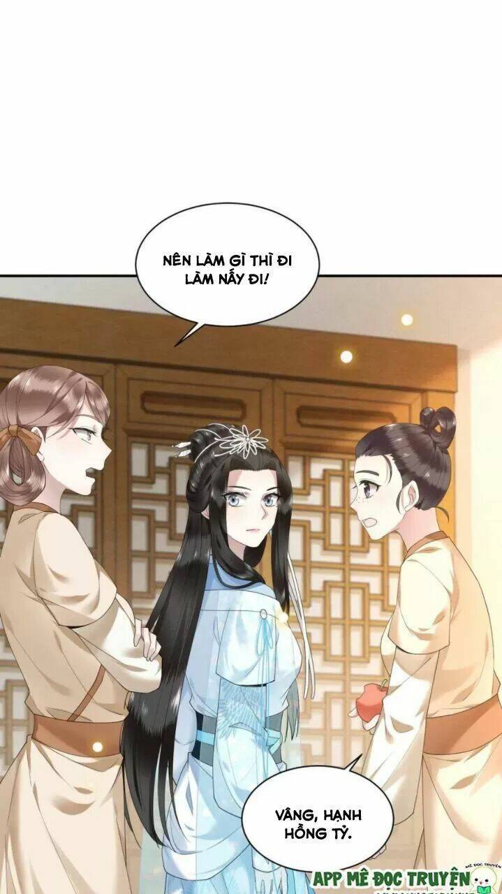 phượng hoàng vu phi chapter 70 19