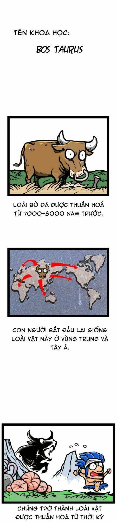 earth, human, and animal chapter 24 10