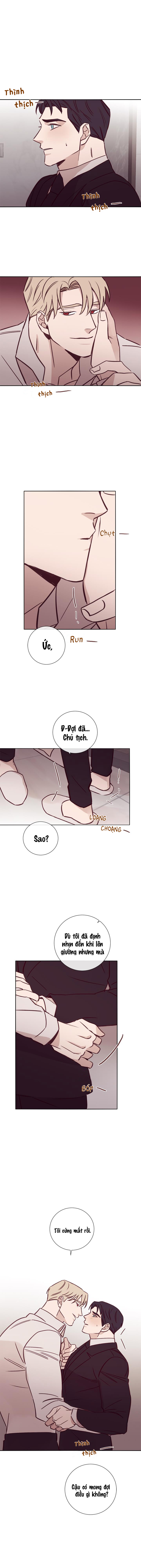 độc dược (marcel) chapter 16 3