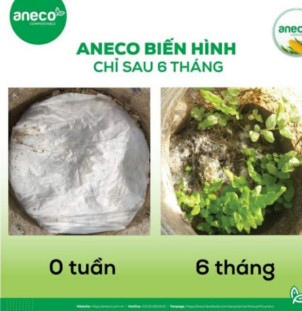 TÚI ĐỰNG SINH HỌC PHÂN HỦY HOÀN TOÀN ANECO