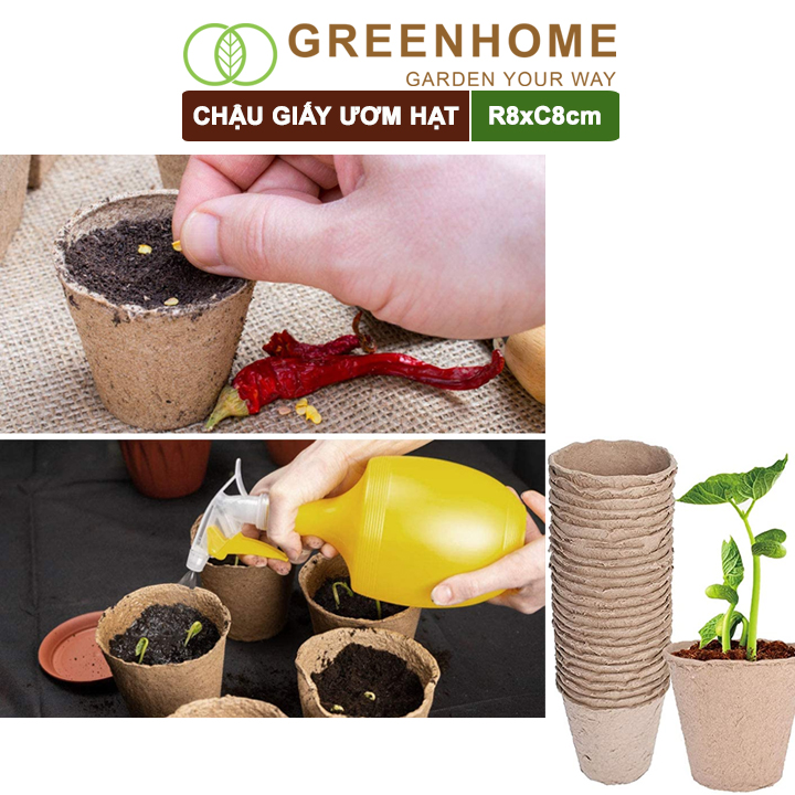 10 Chậu giấy ươm hạt, D8xR8cm, bằng giấy hữu cơ tự phân huỷ, tiện lợi, ươm cây giống, hạt giống |Greenhome