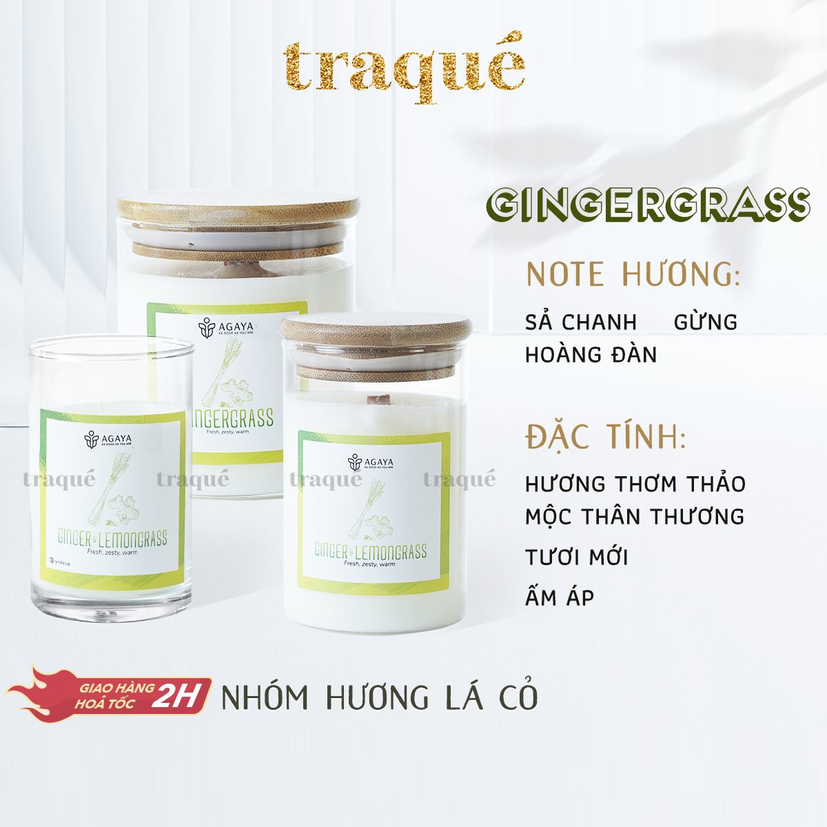 Nến thơm tinh dầu cao cấp không khói an toàn Candle Cup - GINGERGRASS/GỪNG SẢ - L - 350G