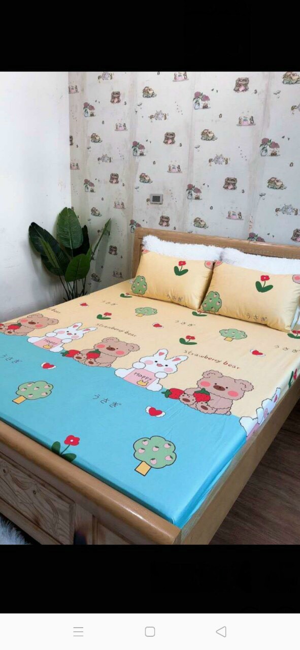 Bộ chăn ga vỏ gối 5 món 1m6x2m