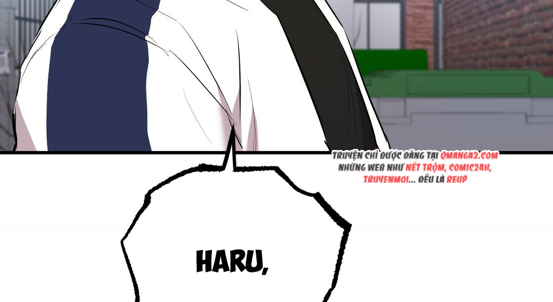 đàn thỏ của habibi chapter 23 216