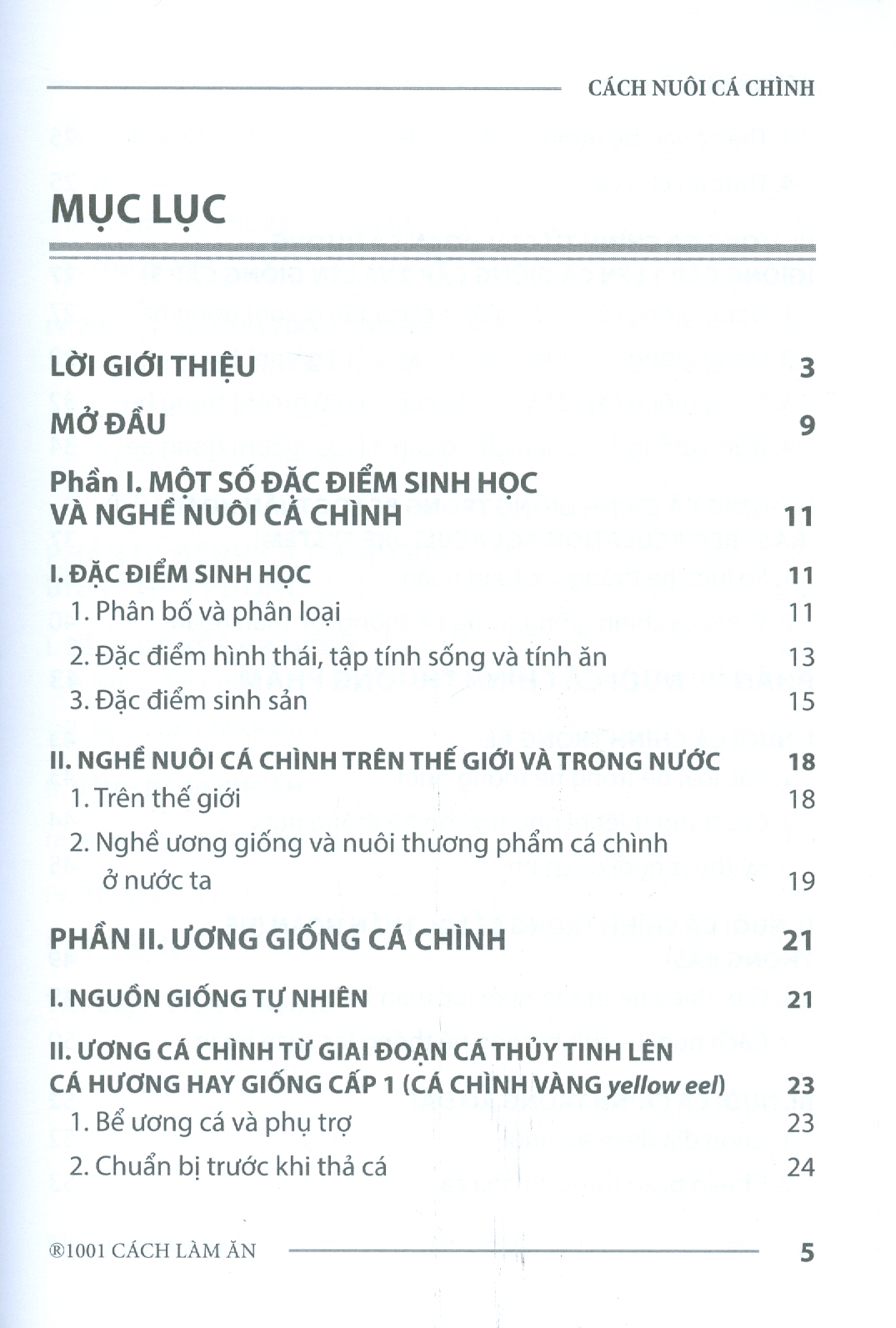 Cách Nuôi Cá Chình