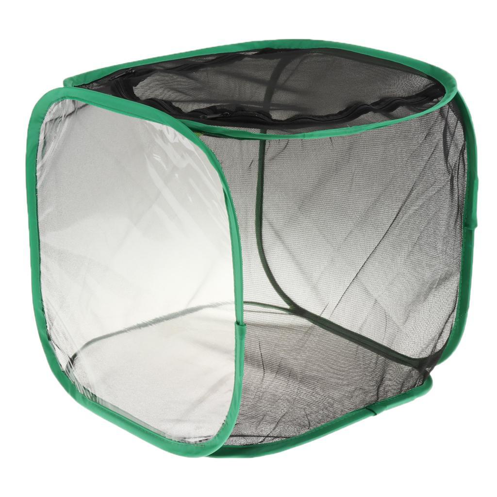 Collapsible Insect and Butterfly Habitat Net Terrarium Breeding Cage 30x30x30cm