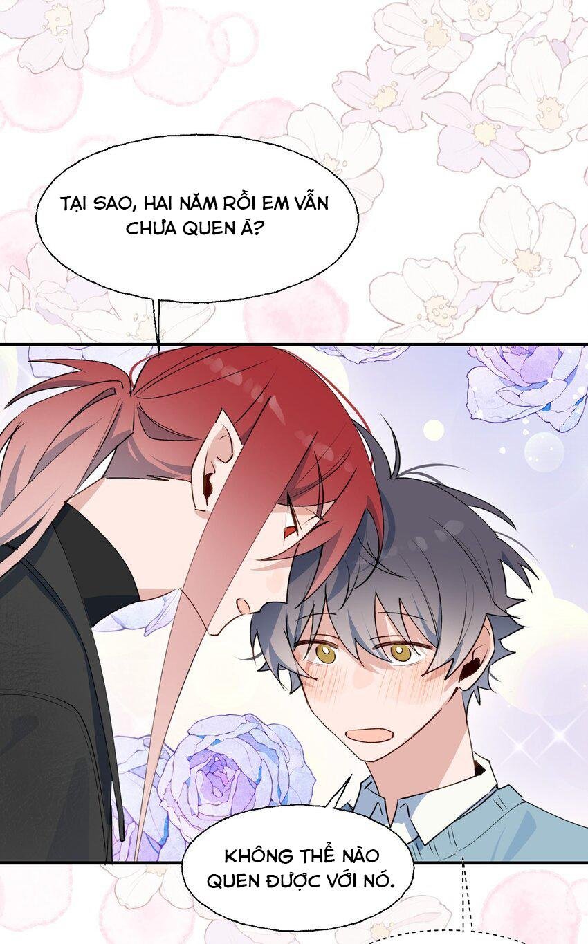 Ma Vương Đại Nhân Luôn Trêu Chọc Tôi Chapter 86 Ngoại truyện 1 11