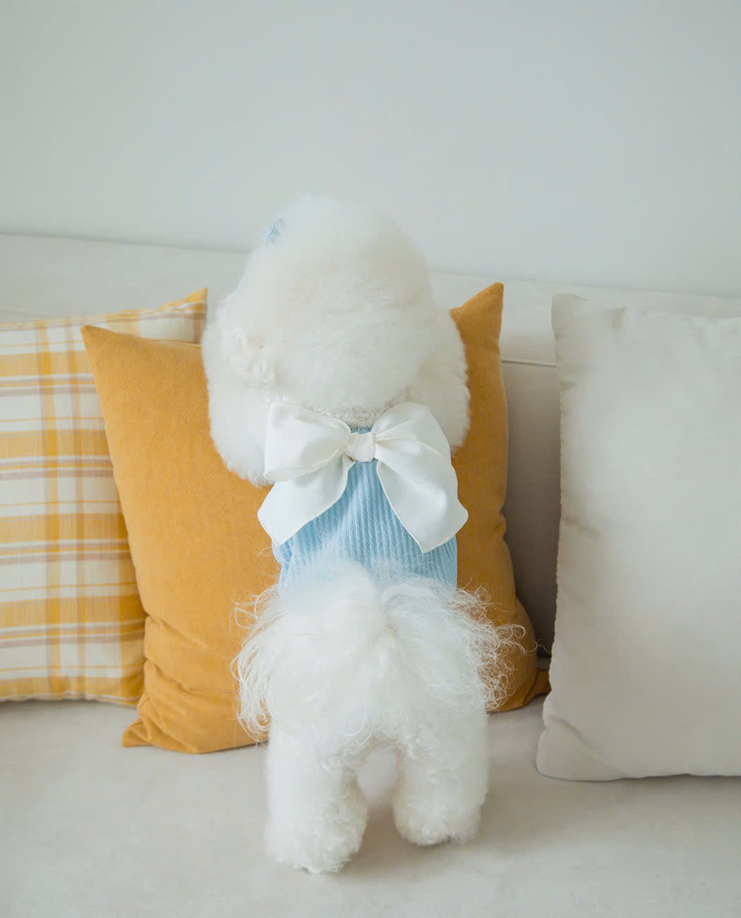 VÁY XANH DƯƠNG NƠ XINH TỪ 1-7KG DÀNH CHO CHÓ MÈO
