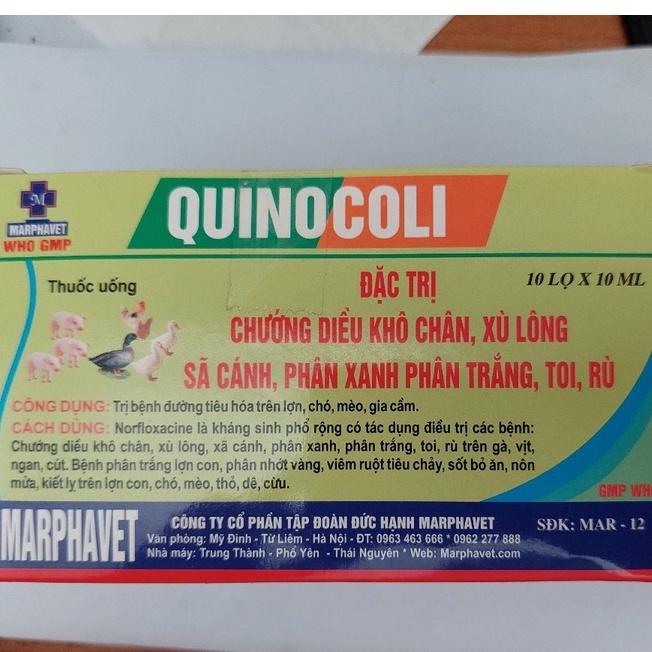 Quinocoli lọ 10ml Marphavet. Chướng diều, khô chân, xù lông, phân xanh phân trắng, toi, rù