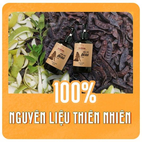 Dầu gội bồ kết cô đặc ️Dầu gội thảo dược sạch gàu, nấm ngứa, chống, ngăn rụng tóc, mọc tóc QUÊ MỘT CỤC- handmade