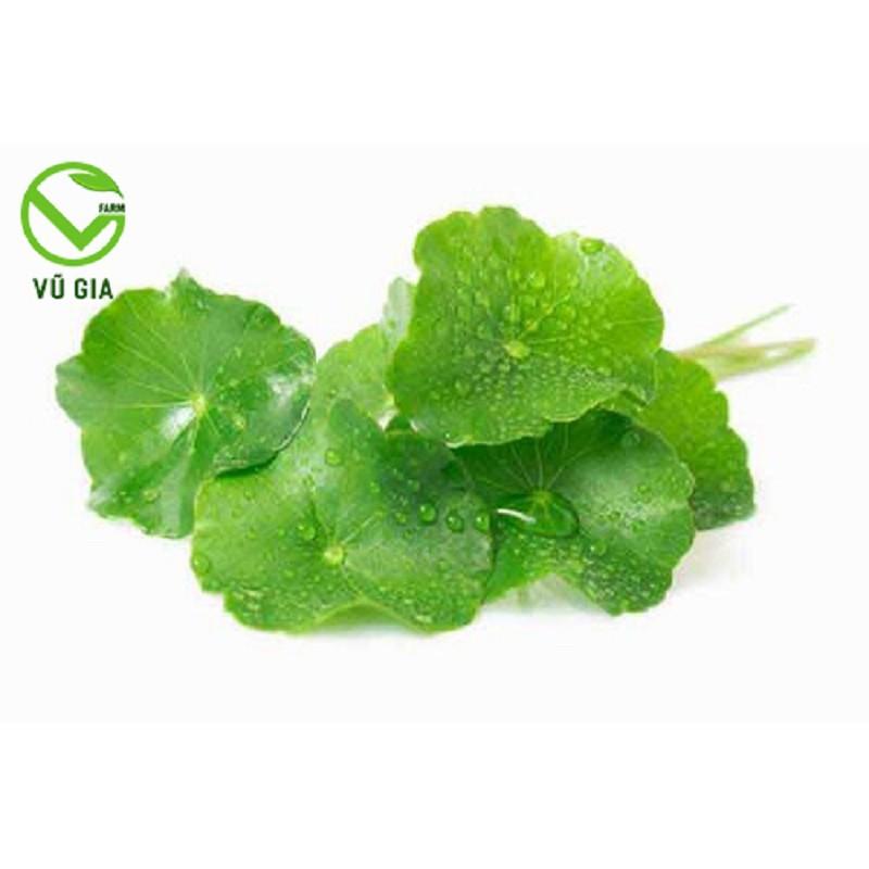 Bột Rau Má Sấy Lạnh Nguyên Chất Vũ Gia + Tặng Chai Thủy Tinh Đựng Nước Ép Có Dây Treo 300ml