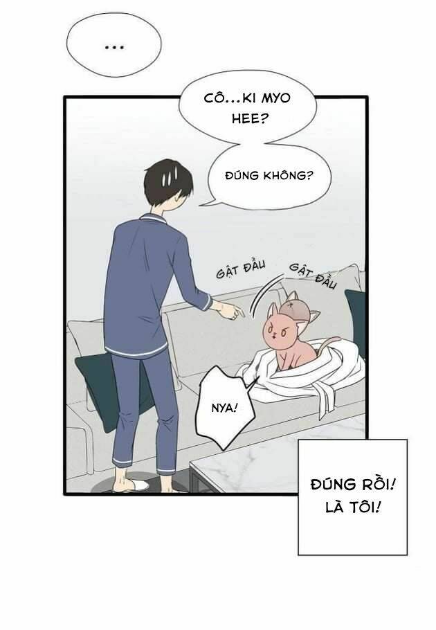 một cuộc sống kỳ lạ chapter 2 41