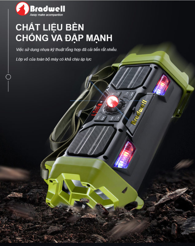 Loa Bradwell mini B5-Hàng Chính Hãng