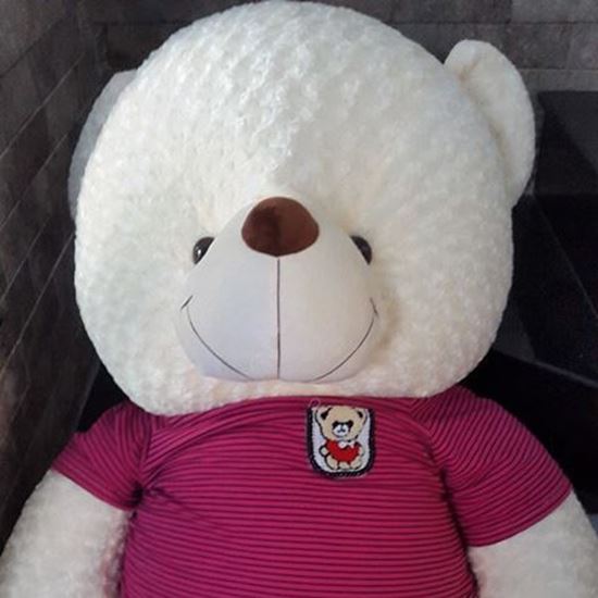 Gấu bông Teddy ICHIGO khổ vải 1m2 màu Kem