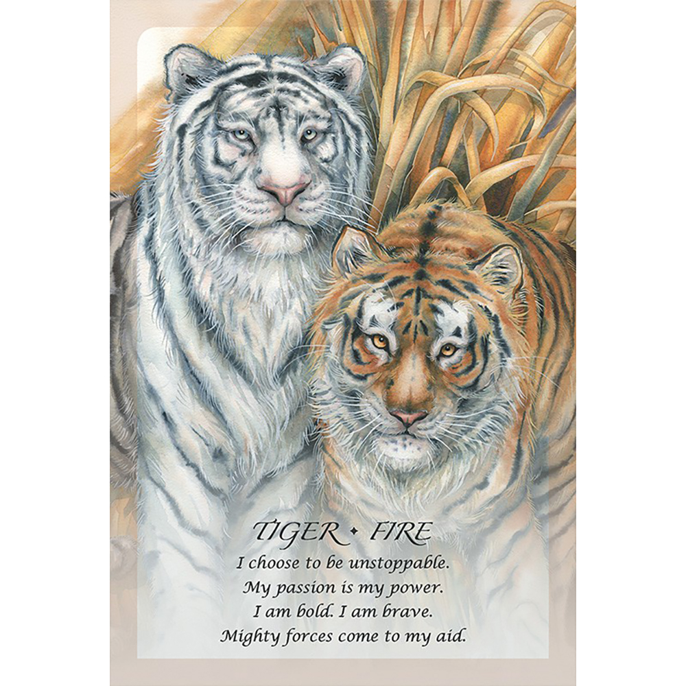 Bộ Bài Spirit Of The Animals Oracle 52 Lá Bài Tặng Đá Thanh Tẩy