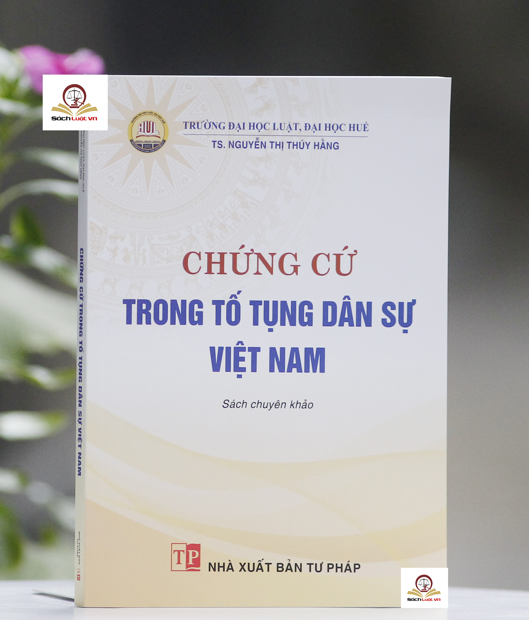 Chứng cứ trong tố tụng dân sự Việt Nam (Sách chuyên khảo)