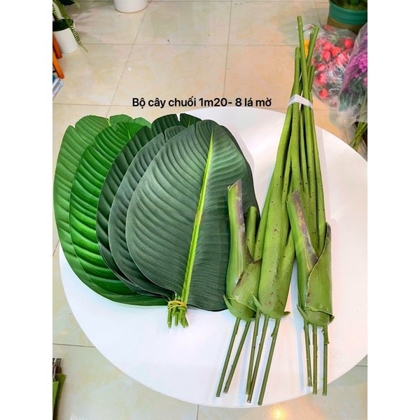 Cây chuối giả chuối rẻ quạt hàng xịn - Size từ 80cm đến 180cm - 3 nhánh - Cây giả, hoa lụa trang trí nhà cửa
