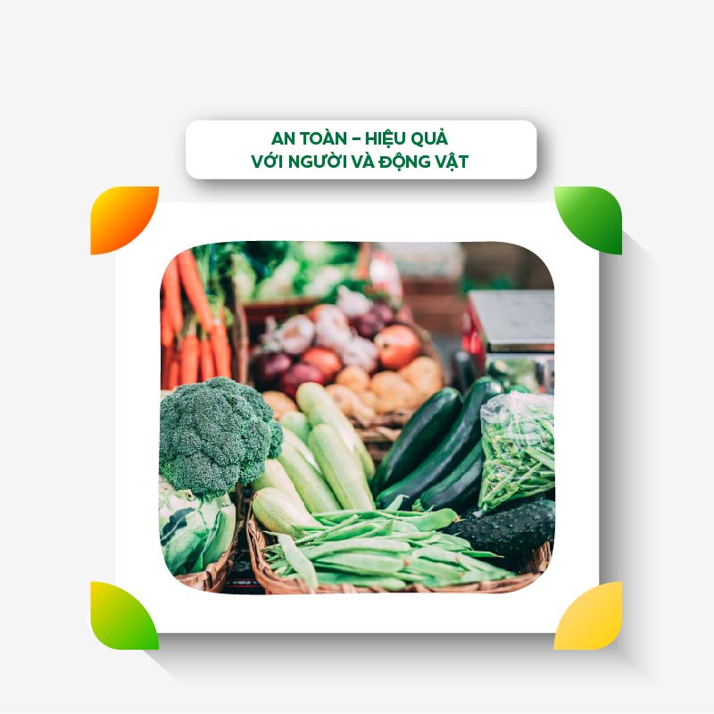 Phân Bón Hữu Cơ Cho Rau Ecom Nutri Crop 100ml Kích Bật Mầm Xanh Nuôi Dưỡng Rau Sạch, Cây Trong Nhà An Toàn