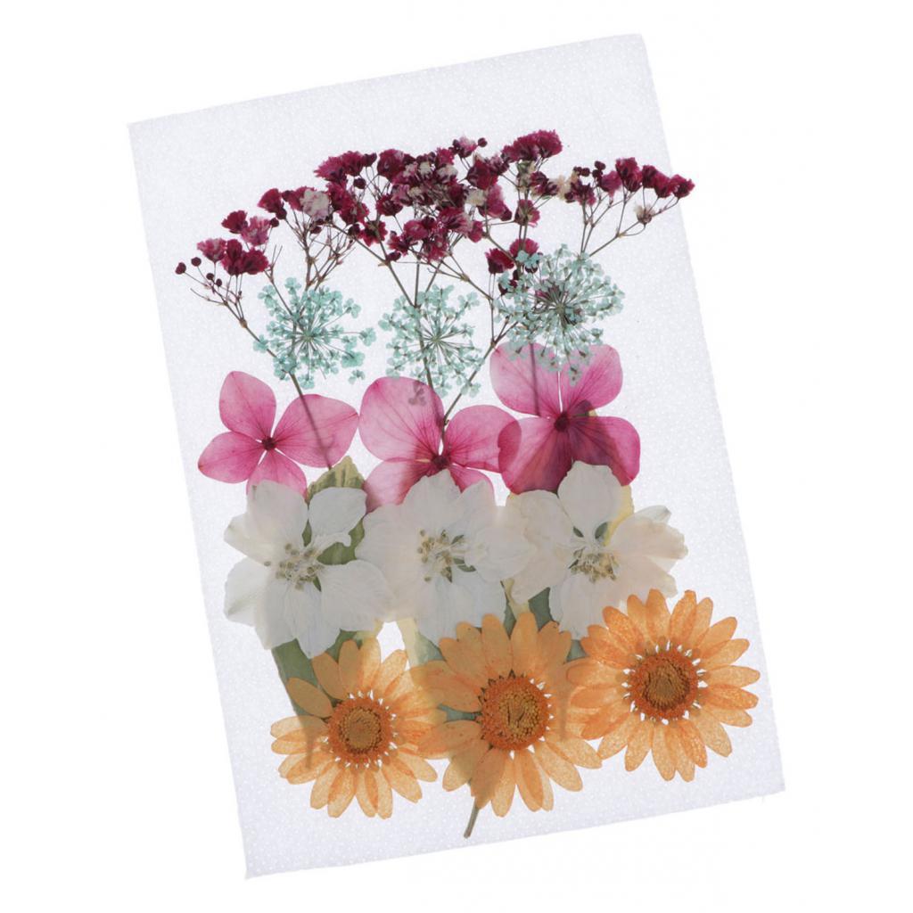 1 Bag Of Real Dried Pressed Flowers Leaves Assorted Colors for Making Greeting Card and Crafts, 2 - 3cm