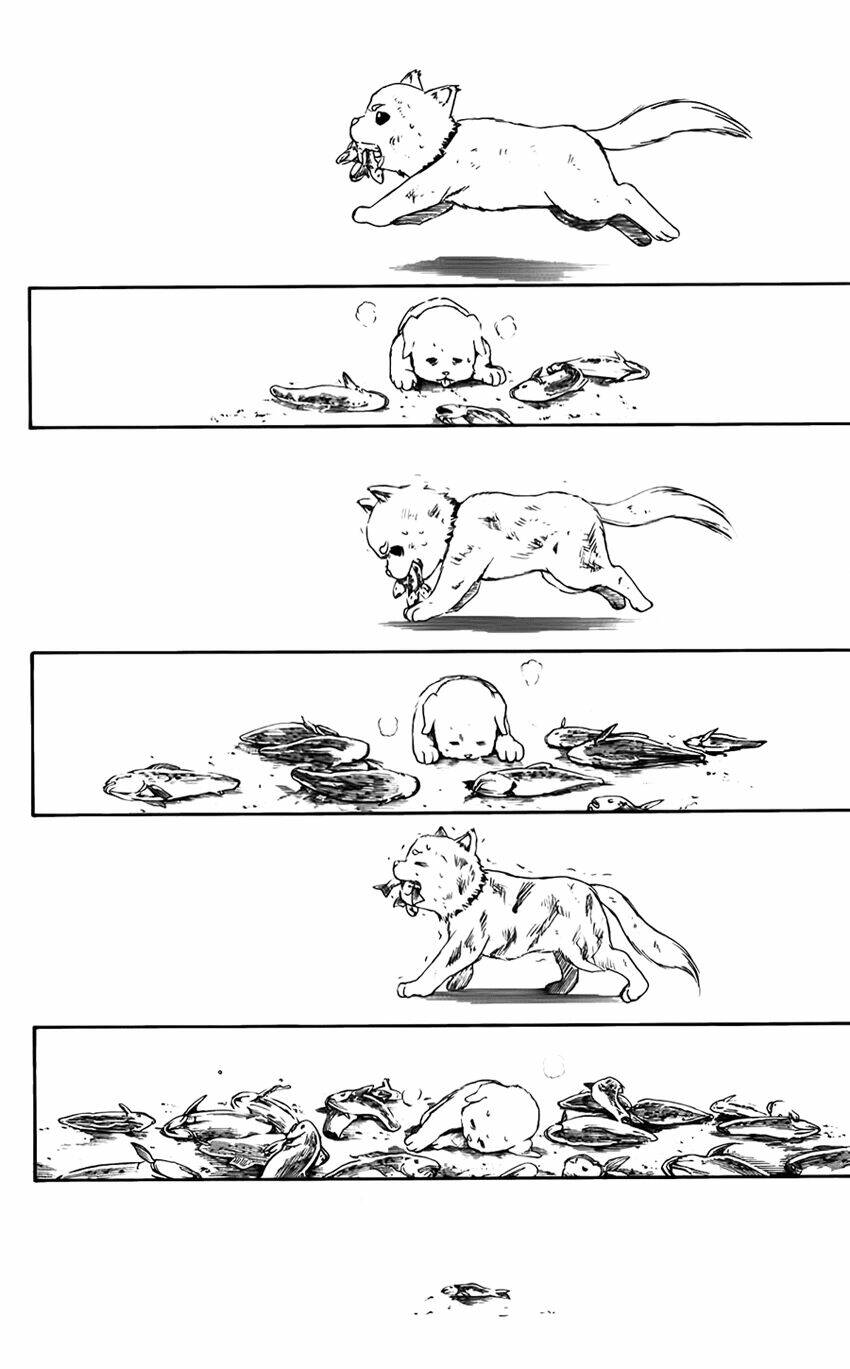 gintama - linh hồn bạc chapter 402 15