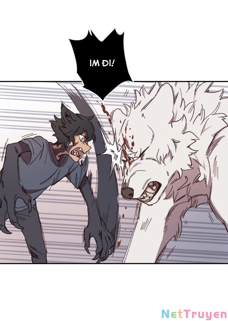 lumine - cội nguồn ánh sáng chapter 92 13