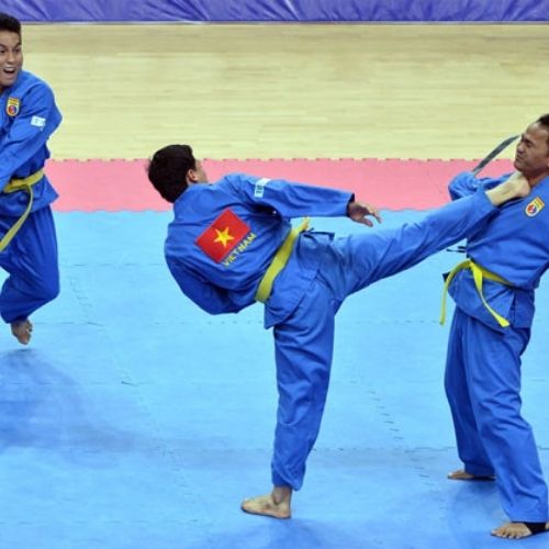Khóa Học Video Online VOVINAM – Việt Võ Đạo Cơ Bản - Trung Tâm Chăm Sóc Sức Khỏe VMC