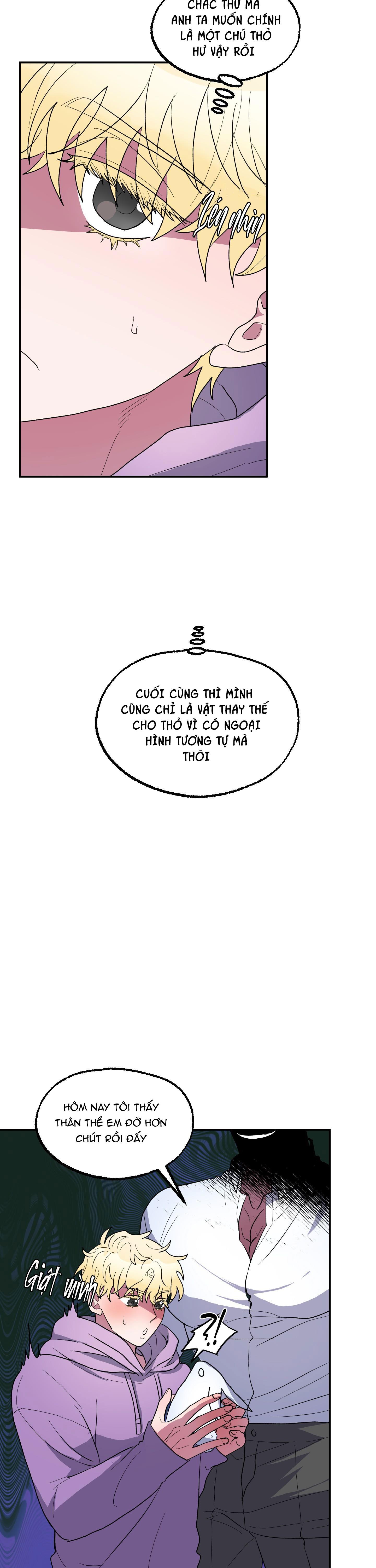 cá mập và cô dâu thỏ chapter 6 17