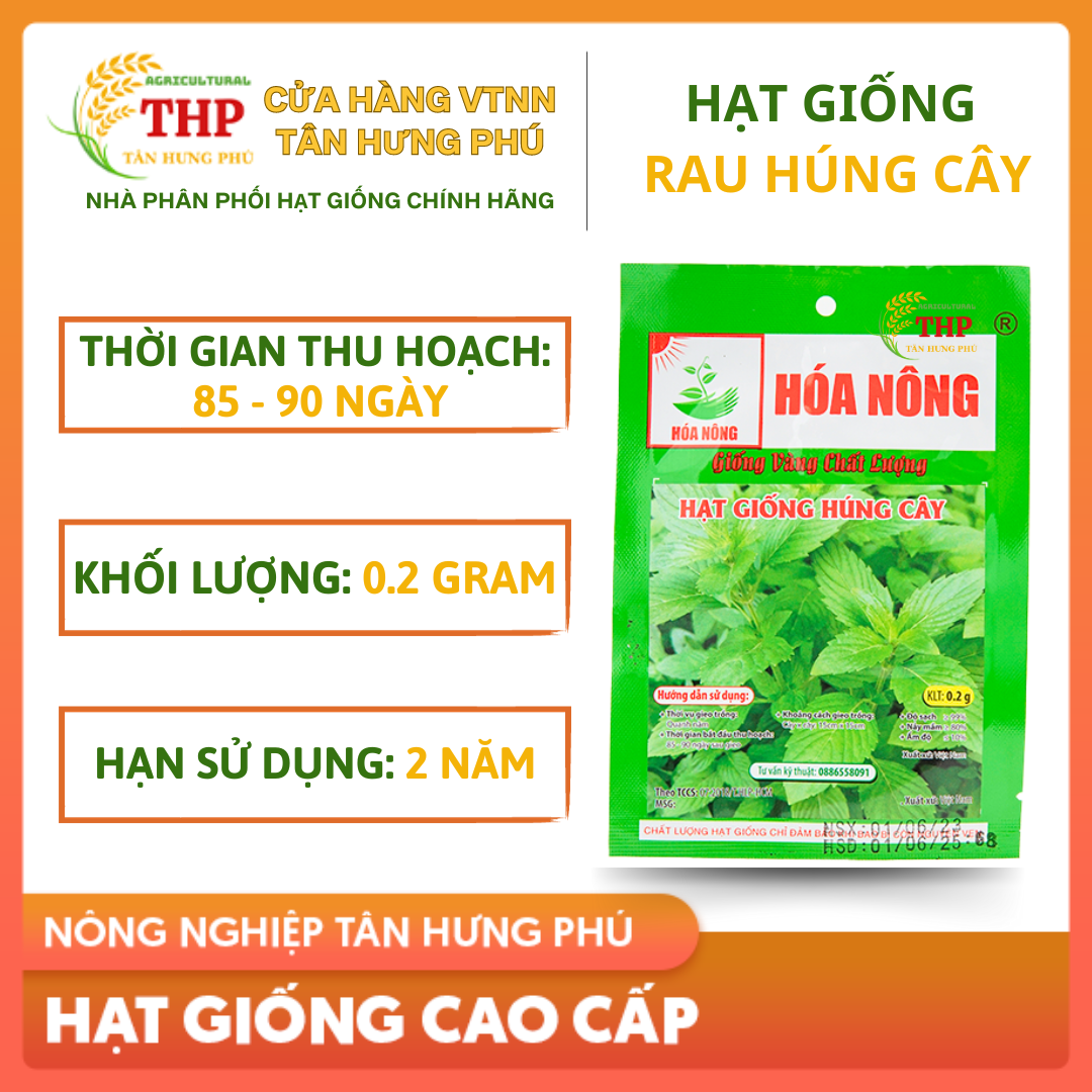 Hạt giống Rau Húng Cây | Hạt Giống | gói 0.2gr