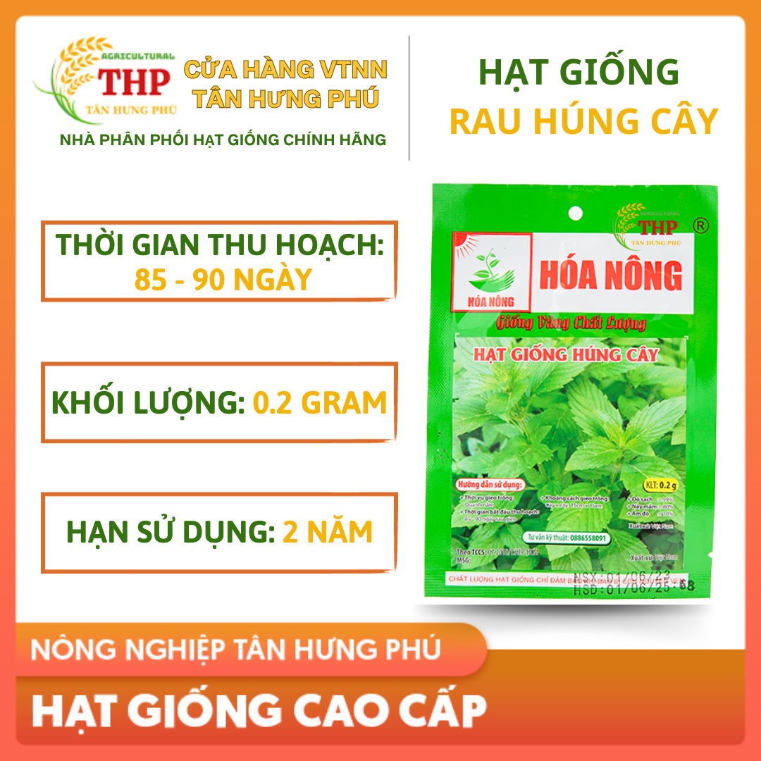 Hạt giống Rau Húng Cây  Hạt Giống  gói 0.2gr