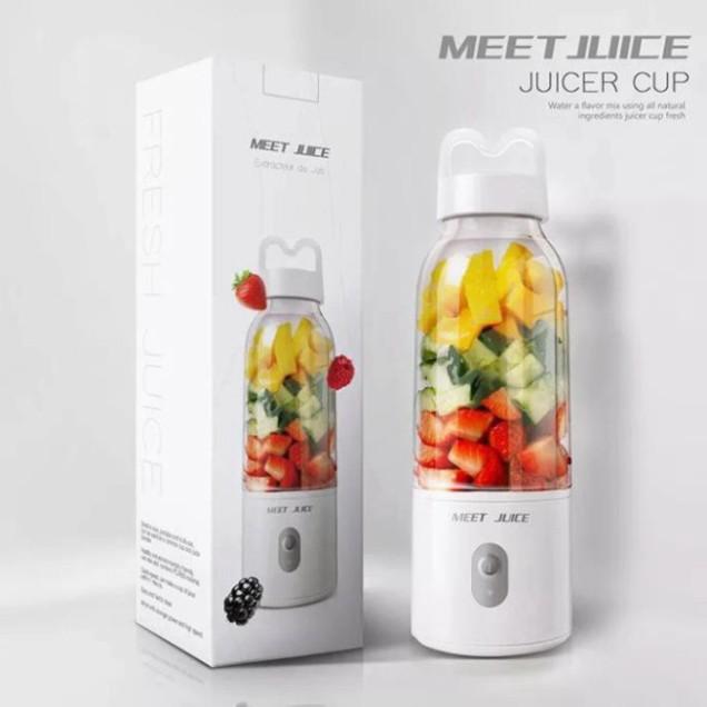 Máy Xay Sinh Tố, Máy Xay Hoa Qủa Cầm Tay mini nhỏ gọn, mạnh mẽ 500Ml 1 Cốc