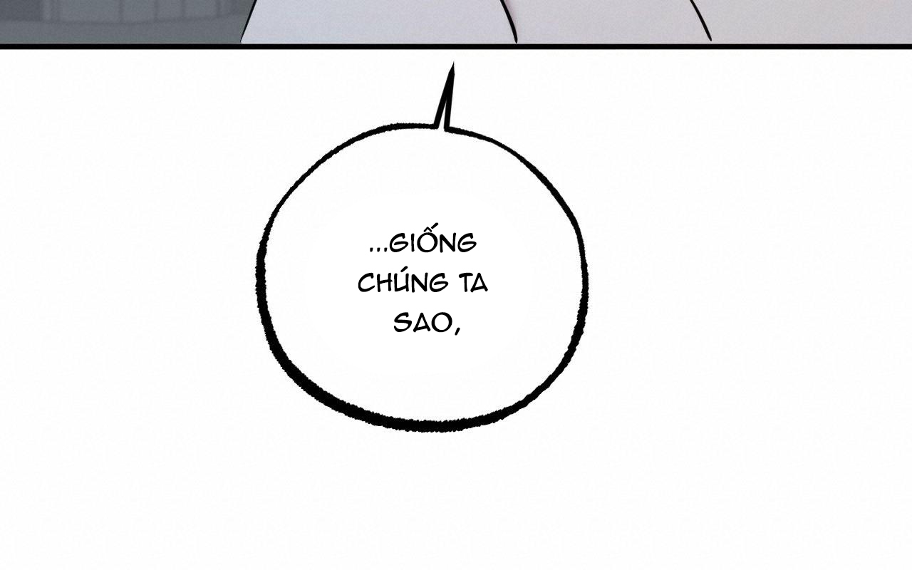 đàn thỏ của habibi chapter 46 289