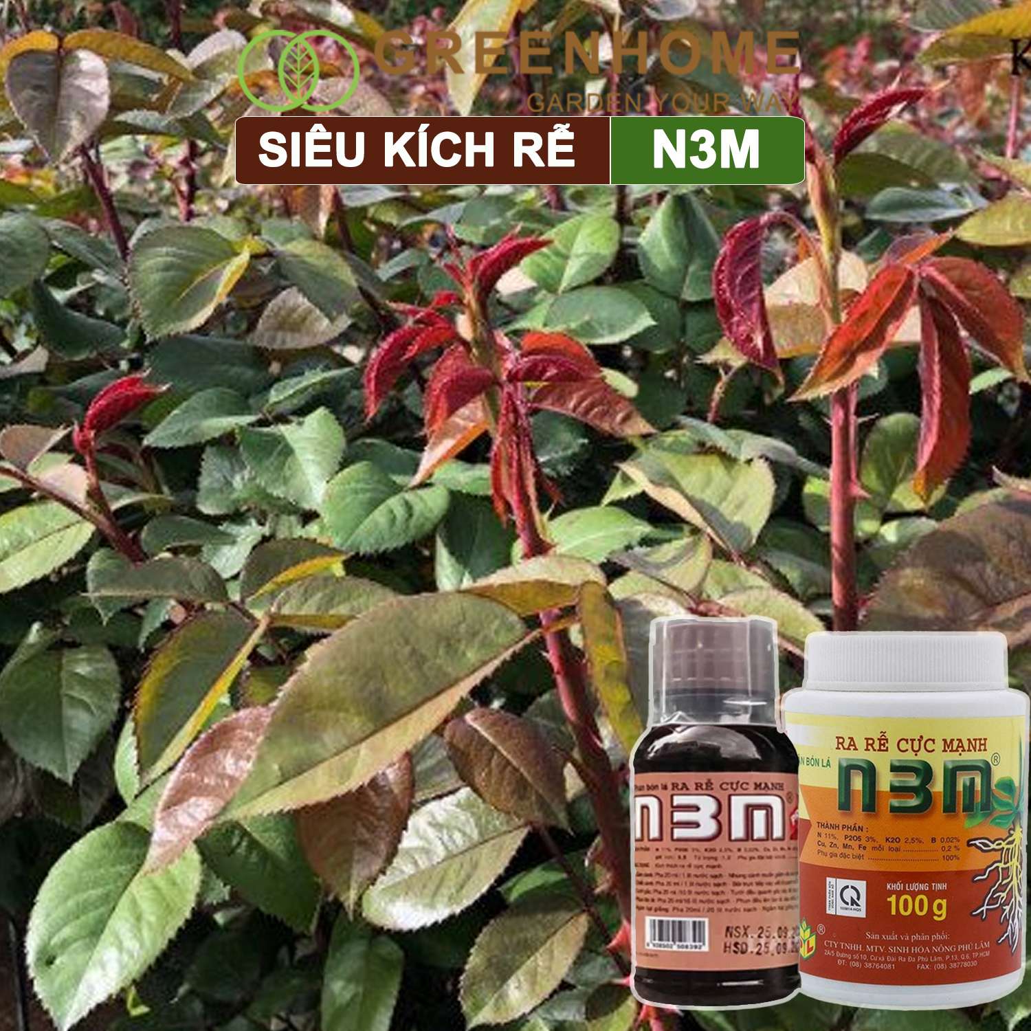 Thuốc kích rễ N3M, chai 100ml, siêu ra rễ, giâm, chiết cành, ngâm hạt giống |Greenhome