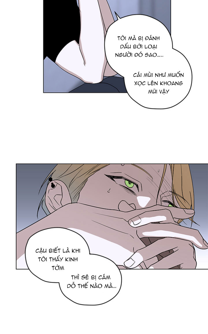 mị hoặc khó cưỡng chapter 2 20