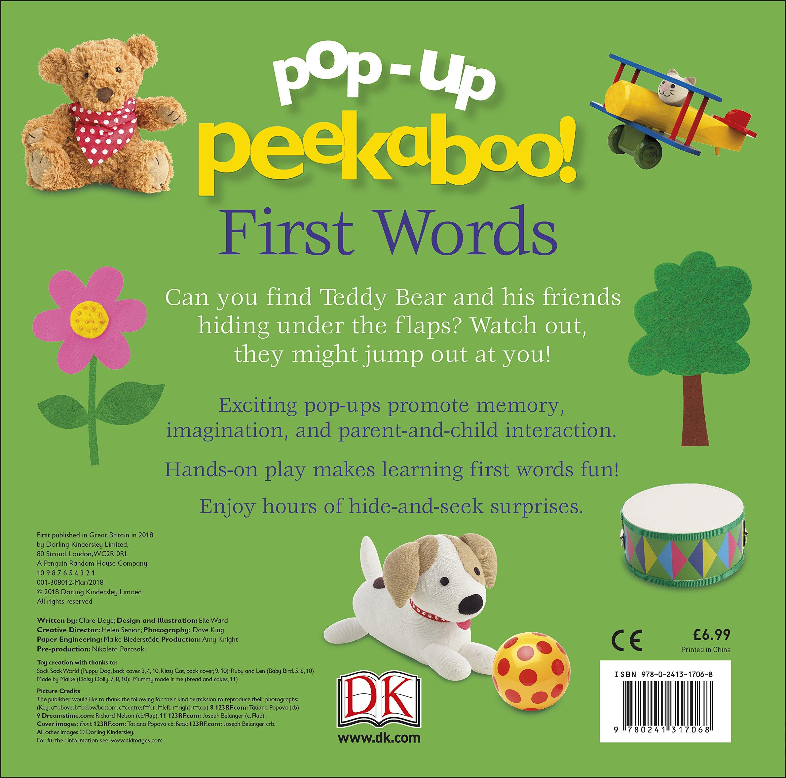 Pop Up Peekaboo! First Words