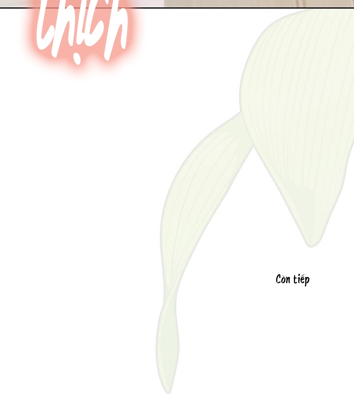 chuyện tình manhattan chapter 34 73