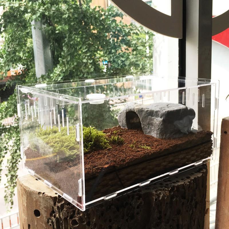 Lồng mika nuôi Thú cưng - Bò sát - Leopard Gecko - Bọ cạp - Thằn lằn