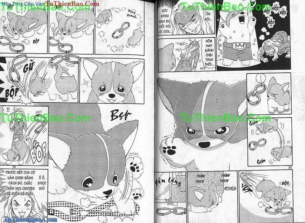 chó con mo mo chapter 2 20