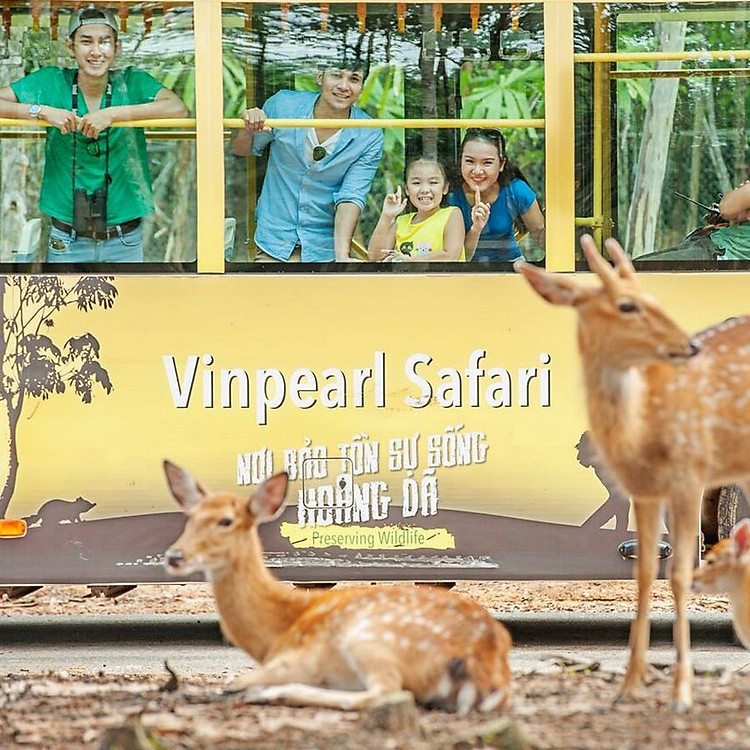 [2023] Vé Vinpearl Safari Phú Quốc - Vườn Thú Mở Đầu Tiên Tại Việt Nam