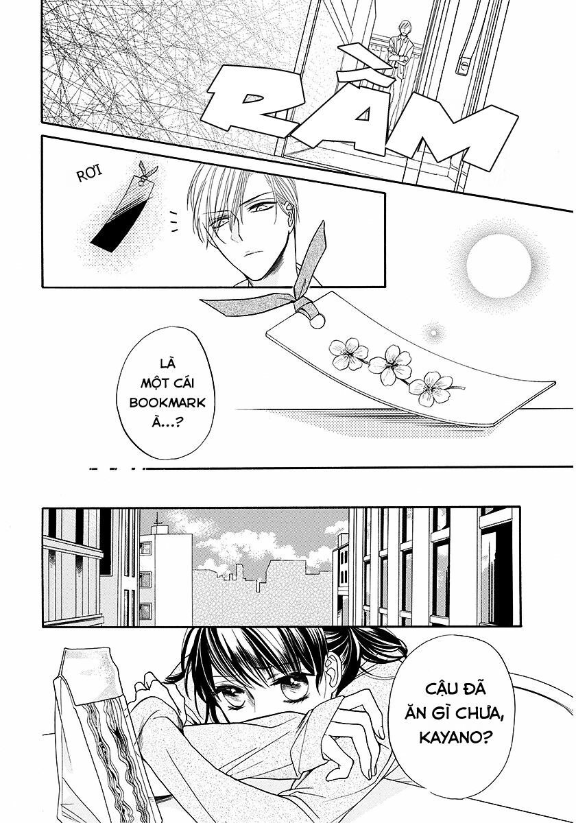 dưới bóng cây anh đào chapter 1 12