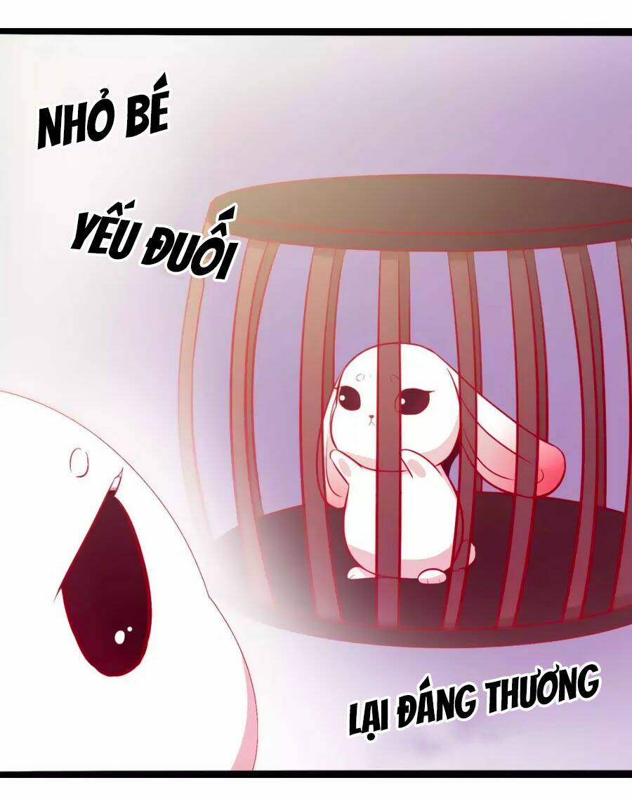 thỏ yêu tiểu vương phi chapter 49 15