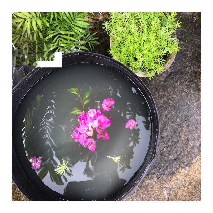 5 Chậu Nhựa Dẻo 40x30x30cm Bít Lỗ Trồng Sen bền từ 5 đến 10 năm- 77330
