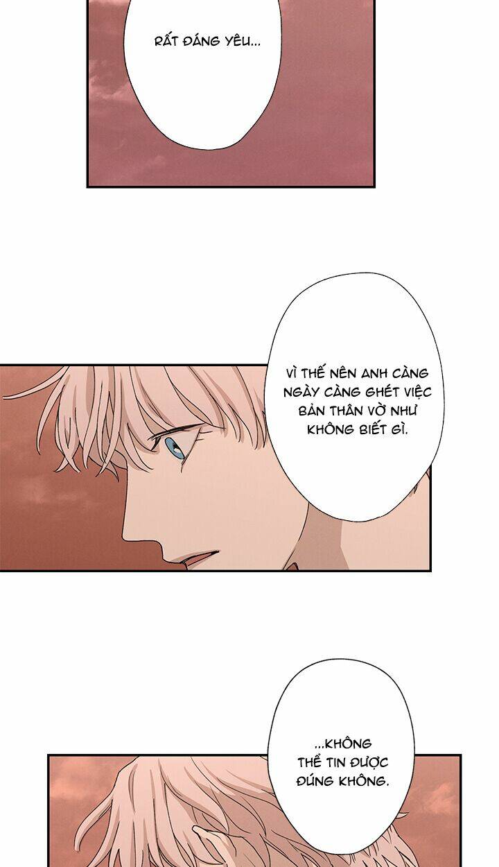 trốn tìm chapter 22 15