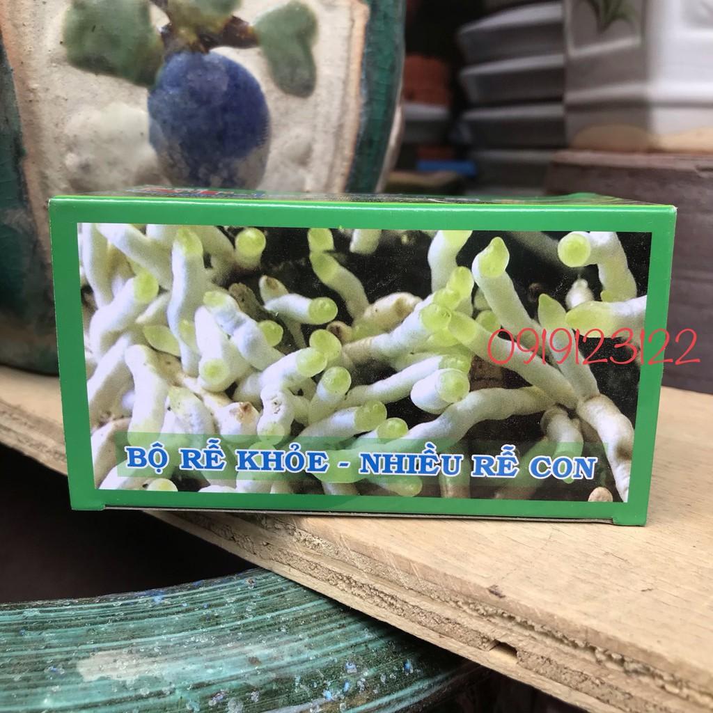 PHÂN BÓN RỄ CHO PHONG LAN CÂY , KÍCH MỌC RỄ