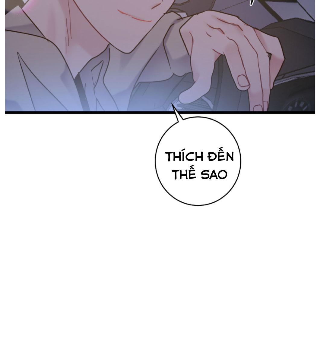 tình yêu bình dị nhất chapter 27 35